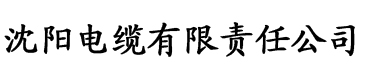 角色介绍电缆厂logo